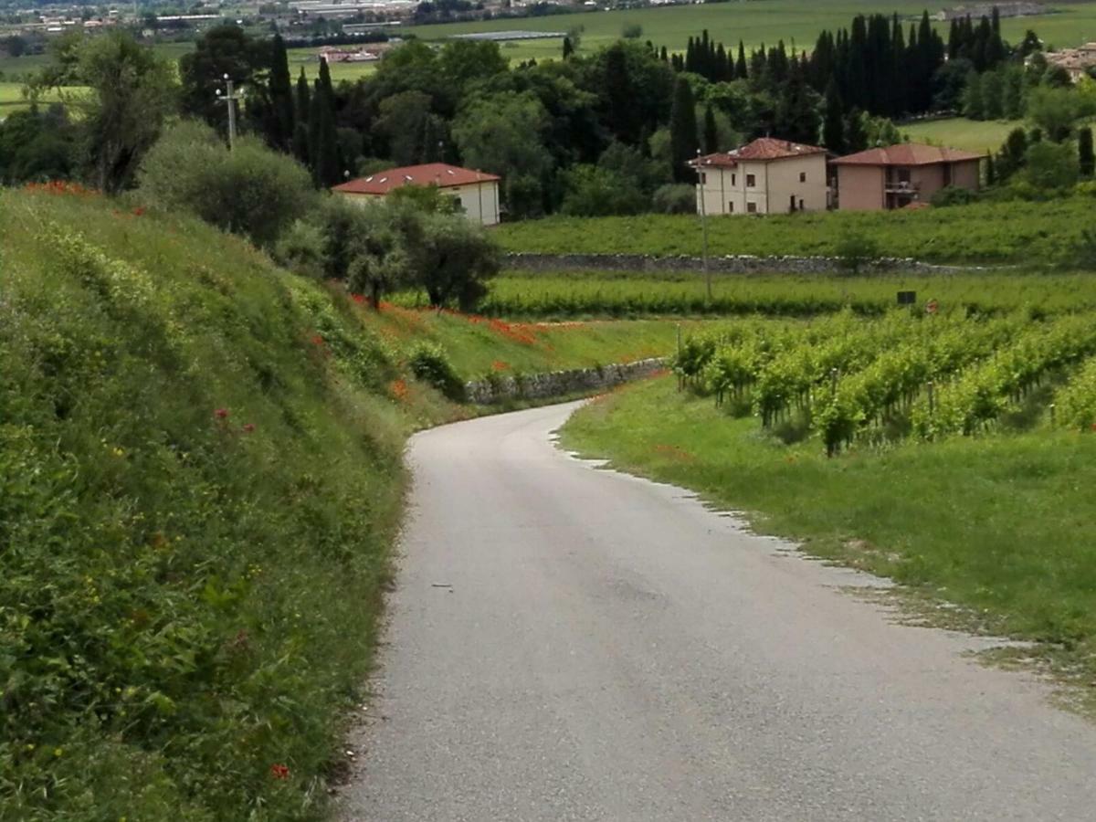 B&B Corte Giare SantʼAmbrogio di Valpolicella 外观 照片