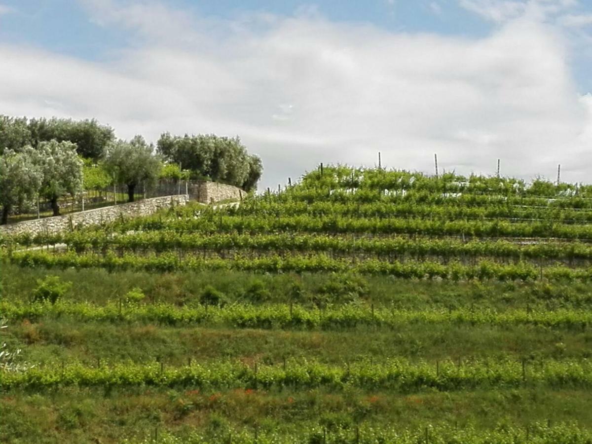 B&B Corte Giare SantʼAmbrogio di Valpolicella 外观 照片